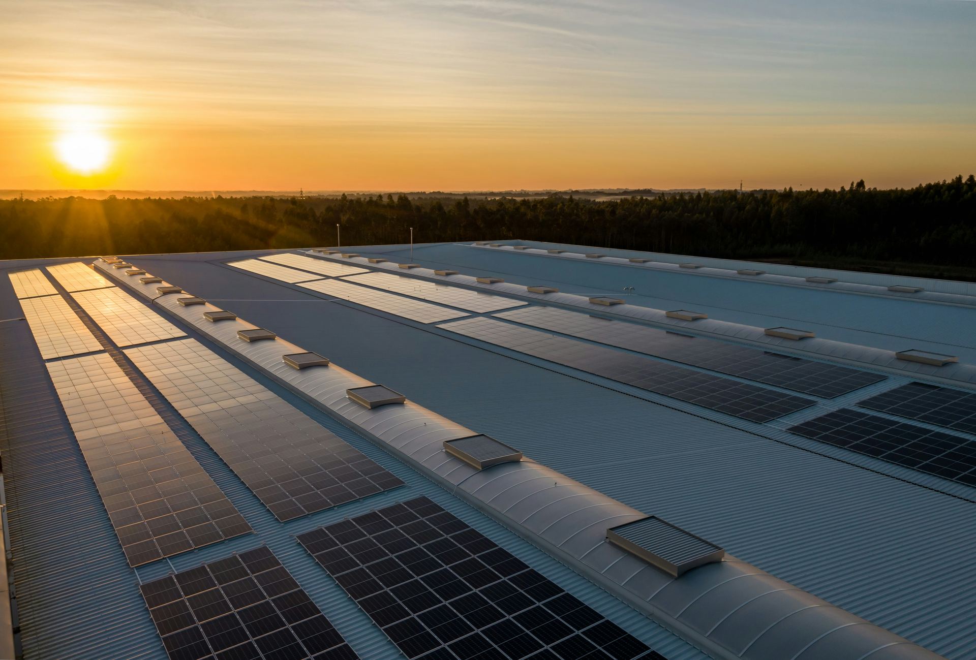 Parc fotovoltaic cu panouri solare — proiect energetic ce necesită documentație D.T.A.C. / D.T.O.E. pentru autorizația de construire